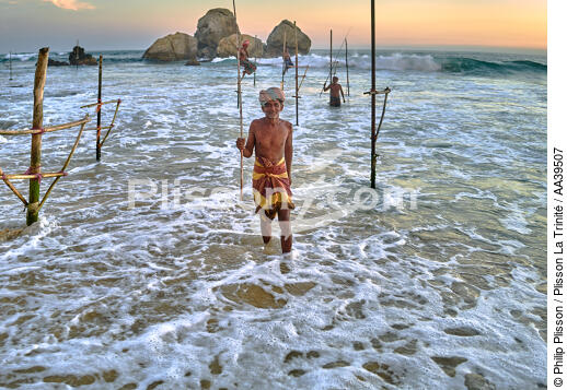 Pêcheurs sur échasse au Sri Lanka - © Philip Plisson / Plisson La Trinité / AA39507 - Nos reportages photos - Horizontal