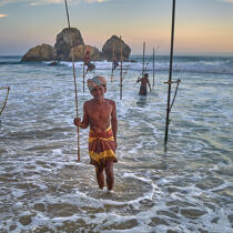 © Philip Plisson / Plisson La Trinité / AA39509 Fishermen on a stick in Sri Lanka - Photo Galleries - Fishing