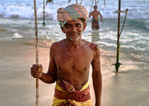 © Philip Plisson / Plisson La Trinité / AA39513 Fishermen on a stick in Sri Lanka - Photo Galleries - People