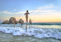 © Philip Plisson / Plisson La Trinité / AA39504 Fishermen on a stick in Sri Lanka - Photo Galleries - People