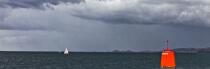 © Philip Plisson / Plisson La Trinité / AA39589 Red tag in Morlaix Bay - Photo Galleries - Horizontal panoramic