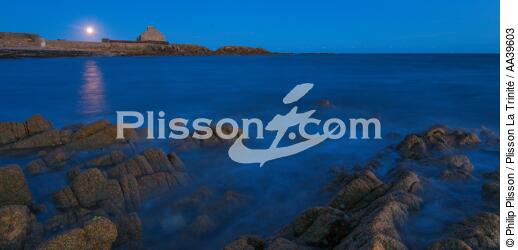 La Pointe de Kerbihan à la Trinité-sur-Mer - © Philip Plisson / Plisson La Trinité / AA39603 - Nos reportages photos - Ville [56]