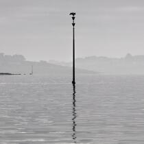 © Philip Plisson / Plisson La Trinité / AA39611 South Cardinale in the Gulf of Morbihan - Photo Galleries - Mist