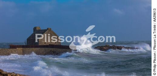 La Pointe de Kerbihan à la Trinité-sur-Mer - © Philip Plisson / Plisson La Trinité / AA39613 - Nos reportages photos - Bretagne