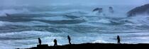 © Philip Plisson / Plisson La Trinité / AA39633 Gale of wind on the wild coast of Quiberon - Photo Galleries - Storm at sea