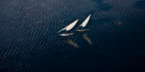 On the Burullus lake - Egypt © Philip Plisson / Plisson La Trinité / AA39820 - Photo Galleries - Traditional sailing