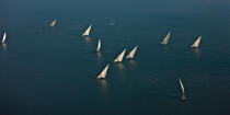 On the Burullus lake - Egypt © Philip Plisson / Plisson La Trinité / AA39821 - Photo Galleries - Sailing boat
