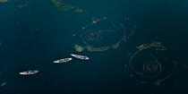 On the Manzala lake - Egypt © Philip Plisson / Plisson La Trinité / AA39831 - Photo Galleries - Aerial shot