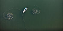On the Manzala lake - Egypt © Philip Plisson / Plisson La Trinité / AA39837 - Photo Galleries - Aerial shot