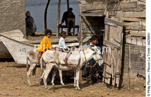 On the Burullus lake - Egypt - © Philip Plisson / Plisson La Trinité / AA39841 - Photo Galleries - Color