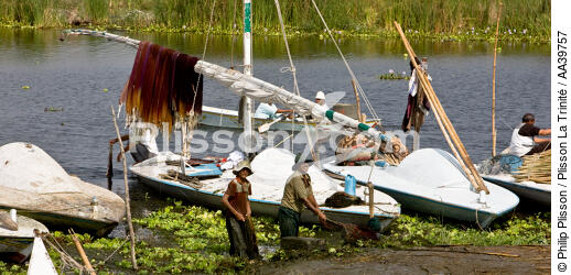 Sur le lac Manzala - Egypte - © Philip Plisson / Plisson La Trinité / AA39757 - Nos reportages photos - 16/9 horizontal