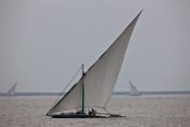 On the Manzala lake - Egypt © Philip Plisson / Plisson La Trinité / AA39803 - Photo Galleries - Boat