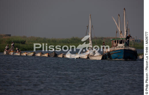 On the Manzala lake - Egypt - © Philip Plisson / Plisson La Trinité / AA39777 - Photo Galleries - Color