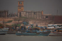 Fishing in front of Alexandria - Egypt © Philip Plisson / Plisson La Trinité / AA39810 - Photo Galleries - Color