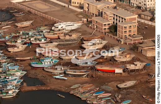 On the Burullus lake - Egypt - © Philip Plisson / Plisson La Trinité / AA39826 - Photo Galleries - Aerial shot