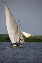 On the Manzala lake - Egypt © Philip Plisson / Plisson La Trinité / AA39785 - Photo Galleries - Sailing boat
