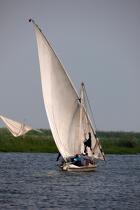 On the Manzala lake - Egypt © Philip Plisson / Plisson La Trinité / AA39786 - Photo Galleries - Sailing boat