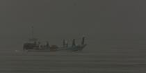 Fishing in front of Alexandria - Egypt © Philip Plisson / Plisson La Trinité / AA39809 - Photo Galleries - Author