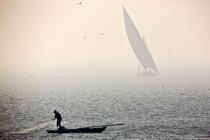 Petite pêche sur le Delta du Nil - Egypte © Philip Plisson / Plisson La Trinité / AA39813 - Nos reportages photos - Type de pêche