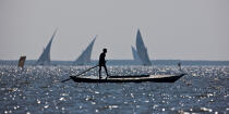 Sur le lac Burullus - Egypte © Philip Plisson / Plisson La Trinité / AA39852 - Nos reportages photos - Hydrologie