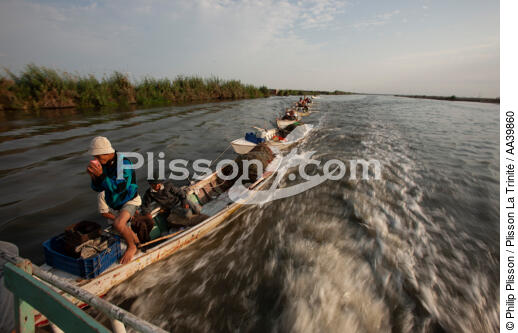 On the Manzala lake - Egypt - © Philip Plisson / Plisson La Trinité / AA39860 - Photo Galleries - Philip Plisson