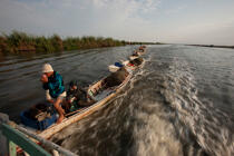Sur le lac Manzala - Egypte © Philip Plisson / Plisson La Trinité / AA39860 - Nos reportages photos - Géomorphie