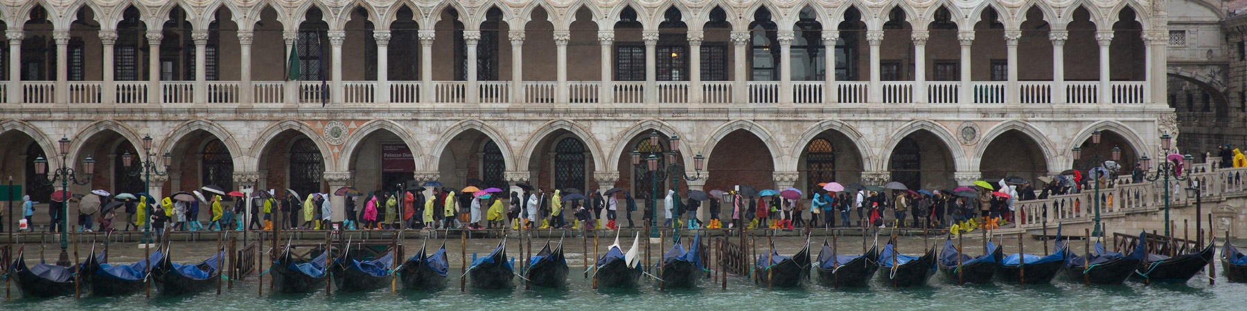 Acqua alta à Venise - Photo Pêcheur d'Images