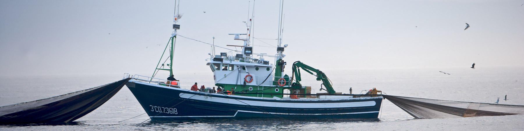 Sardine Fishing - Photo Pêcheur d'Images